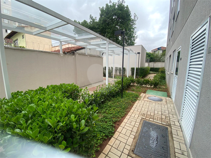 Foto REO1132495