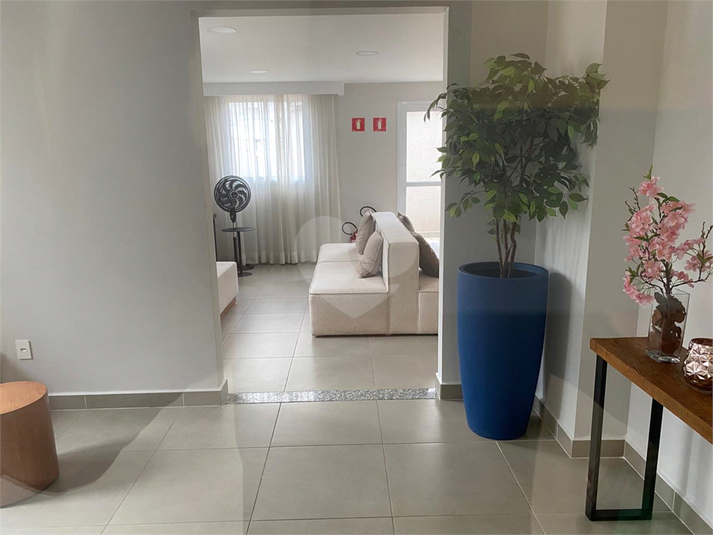 Foto REO1132495