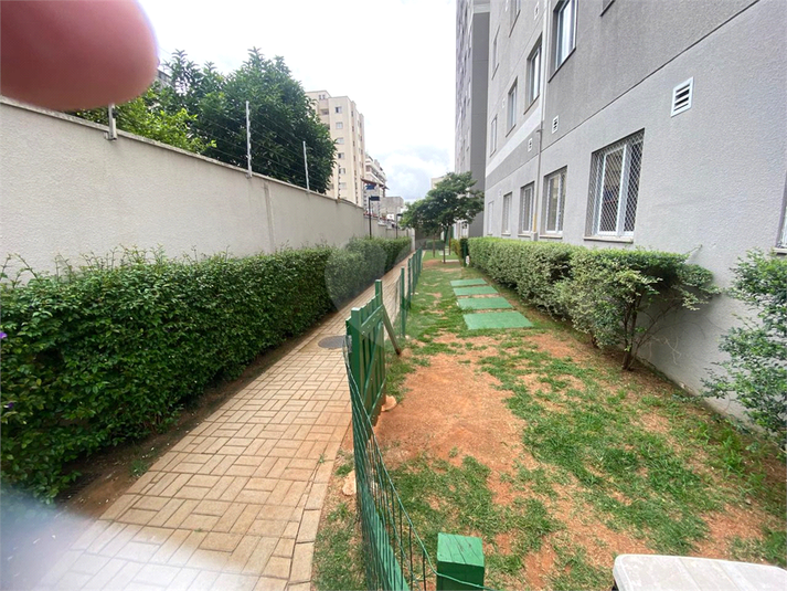 Foto REO1132495