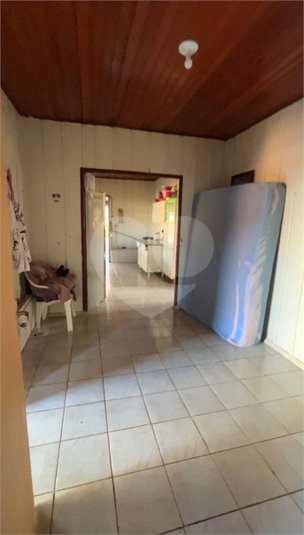 Foto REO1132504