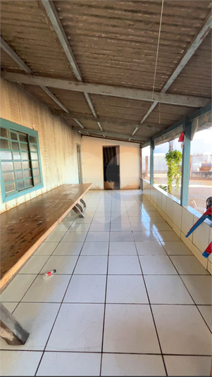 Foto REO1132504