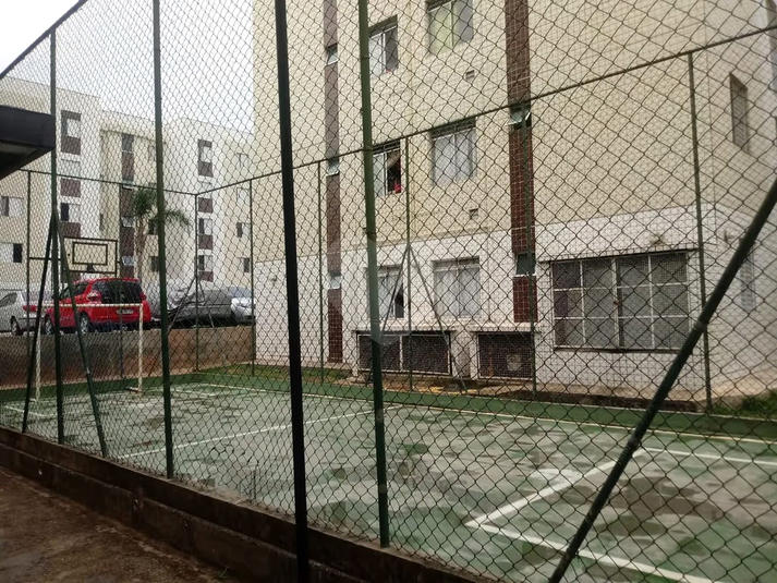 Foto REO1132506