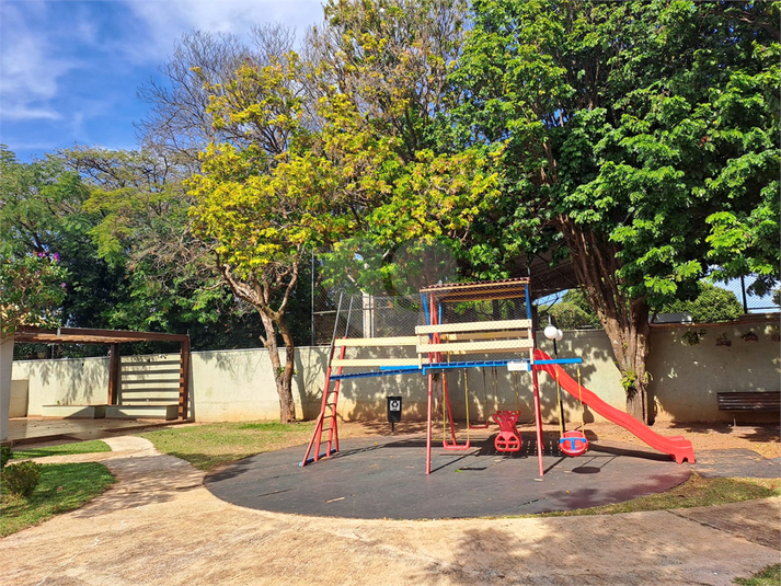 Foto REO1132512