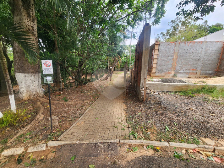 Foto REO1132517