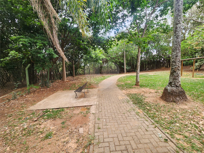 Foto REO1132517
