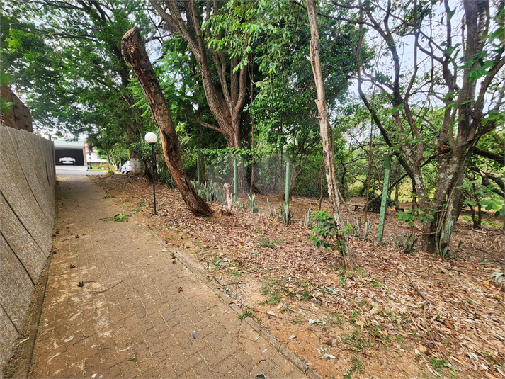 Foto REO1132517