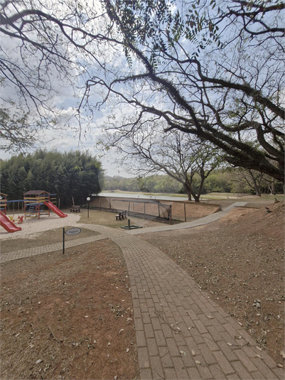 Foto REO1132518