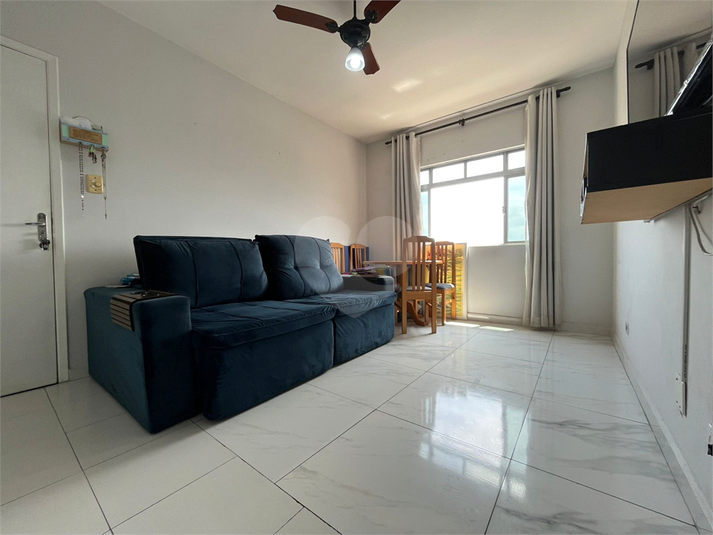 Foto REO1132522