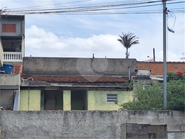 Foto REO1132523