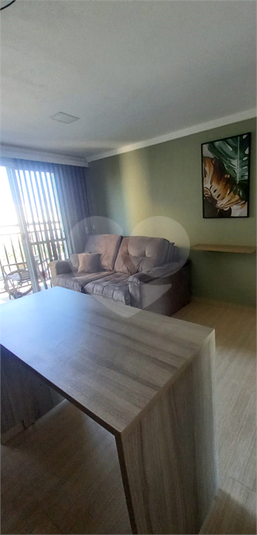 Foto REO1132524