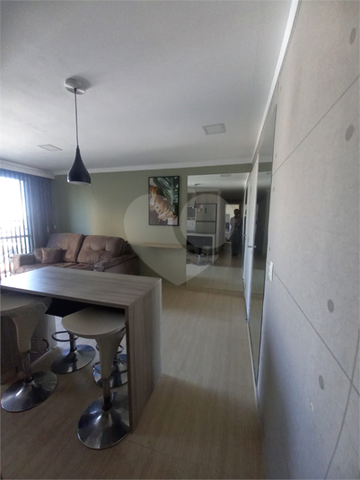 Foto REO1132524