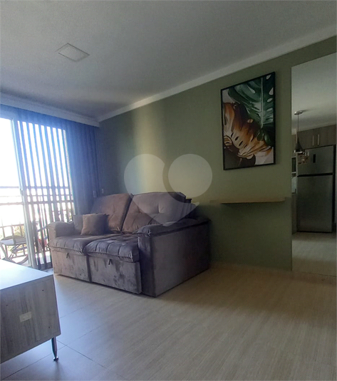 Foto REO1132524