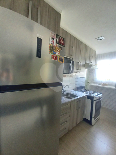 Foto REO1132524