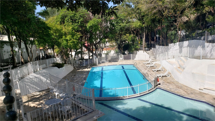 Foto REO1132526