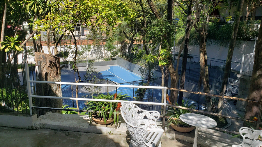 Foto REO1132526