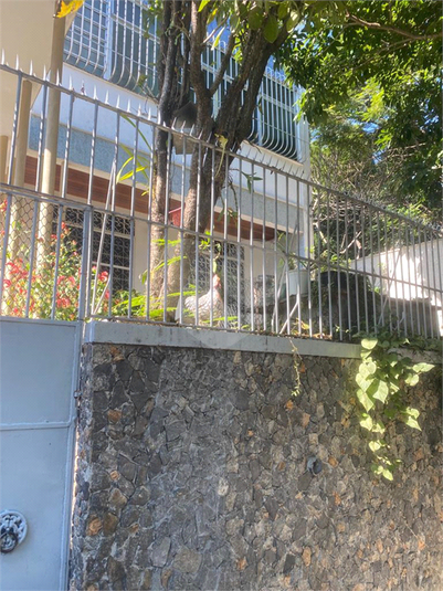 Foto REO1132535