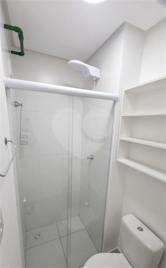Foto REO1132538