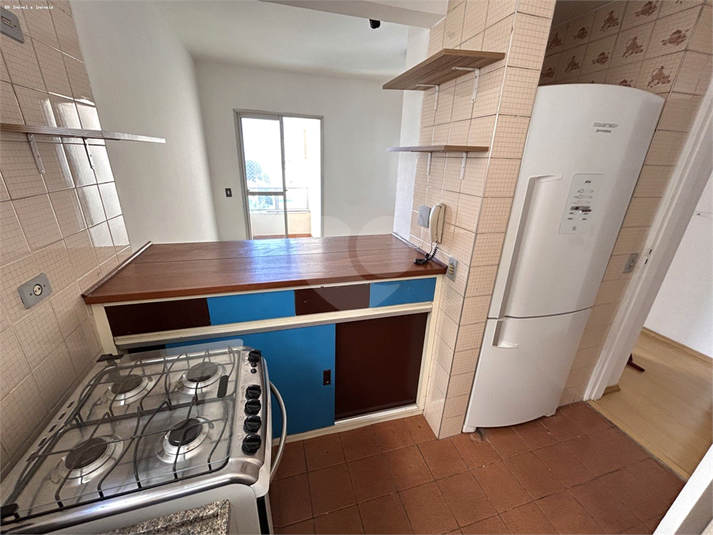 Foto REO1132540