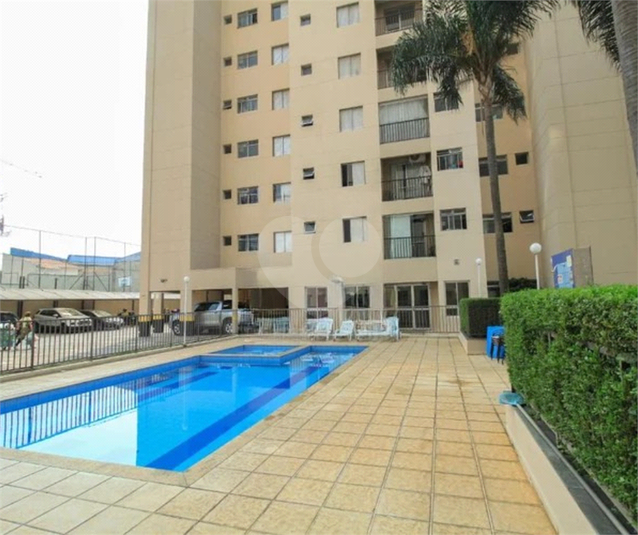 Foto REO1132545