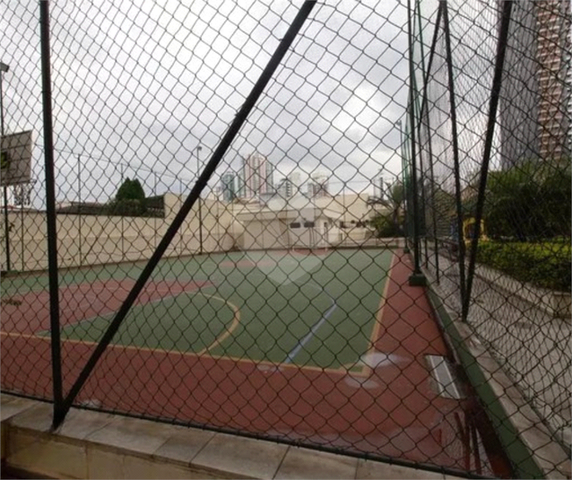 Foto REO1132546