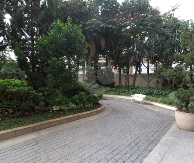 Foto REO1132546