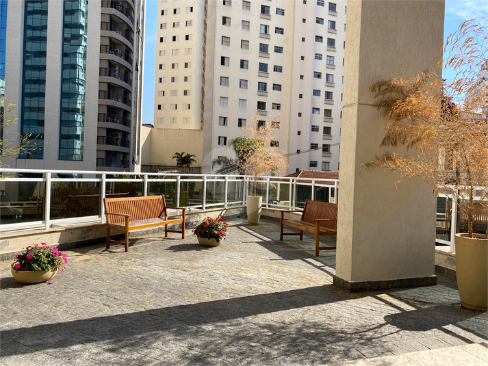 Foto REO1132548
