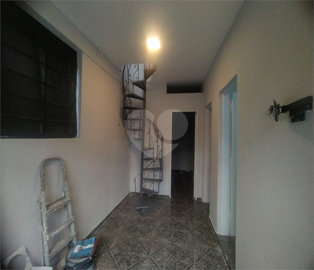 Foto REO1132555
