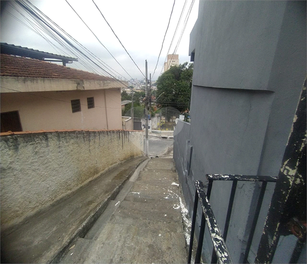 Foto REO1132555