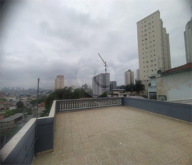 Foto REO1132555