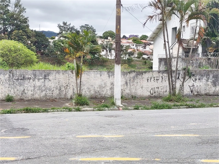 Foto REO1132559