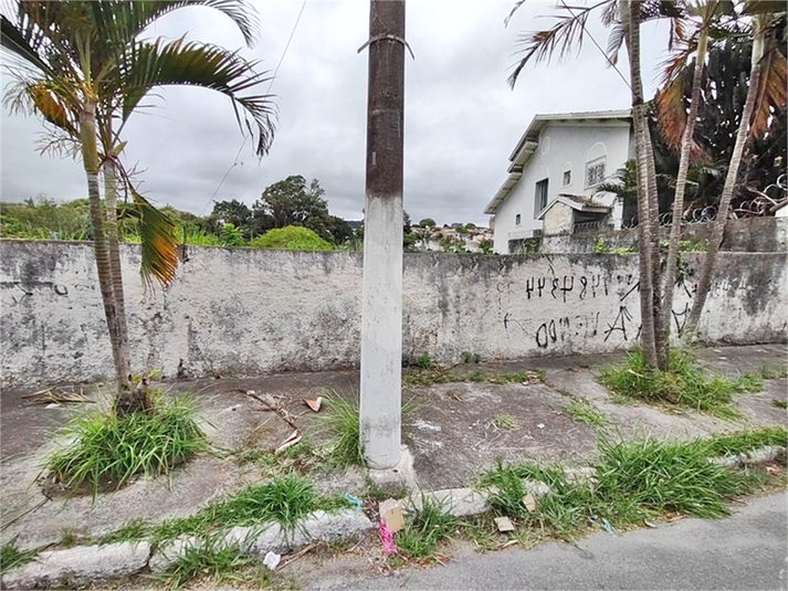 Foto REO1132559