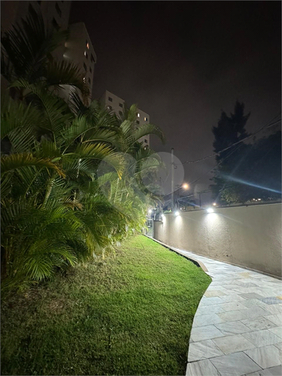 Foto REO1132560