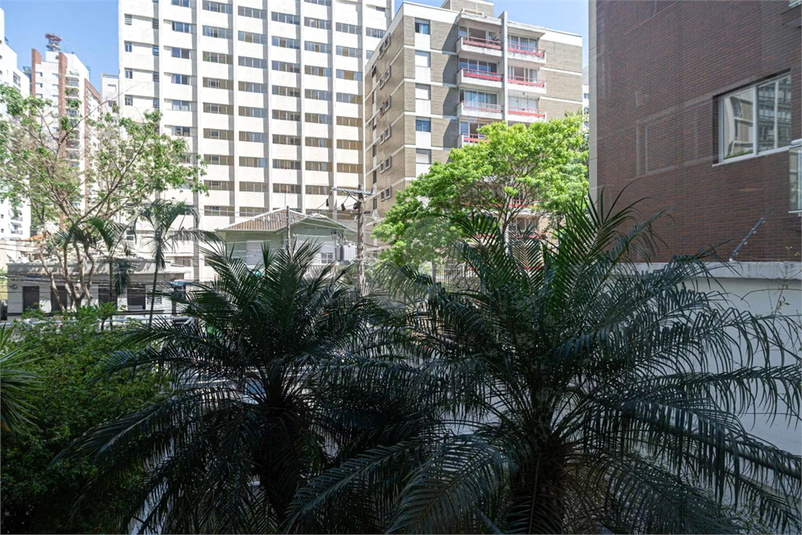 Foto REO1132561
