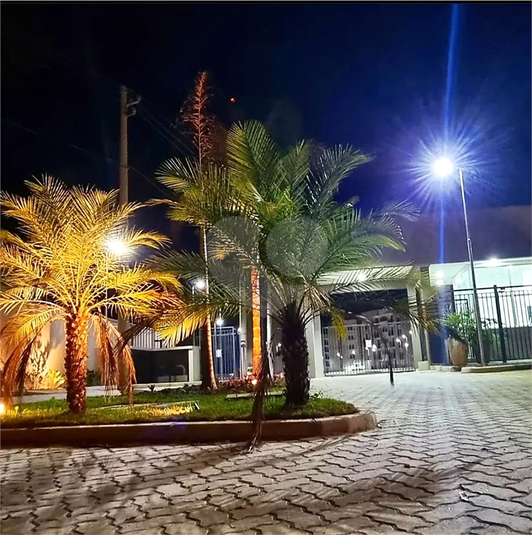Foto REO1132581