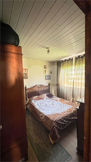 Foto REO1132583