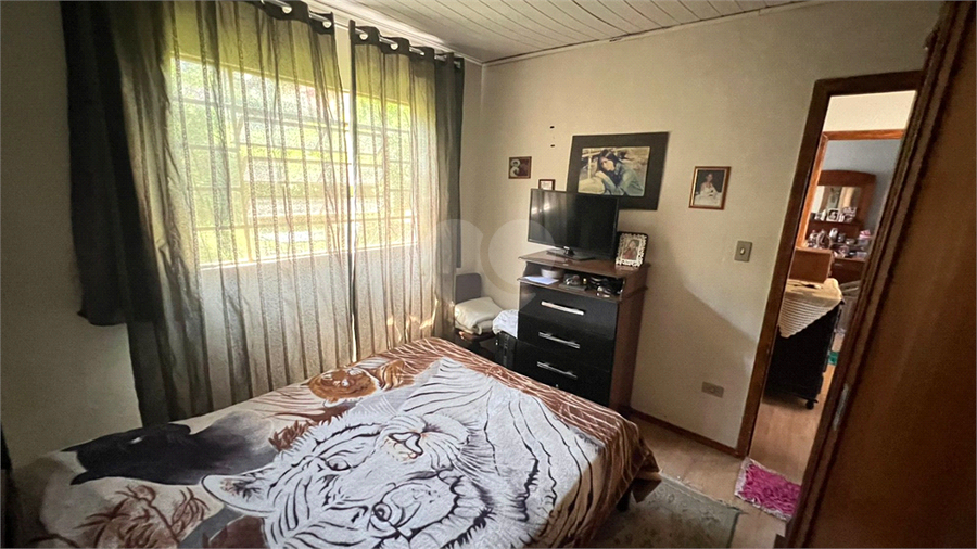 Foto REO1132583