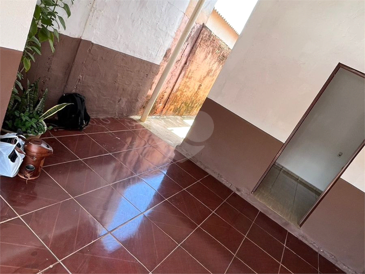 Foto REO1132586