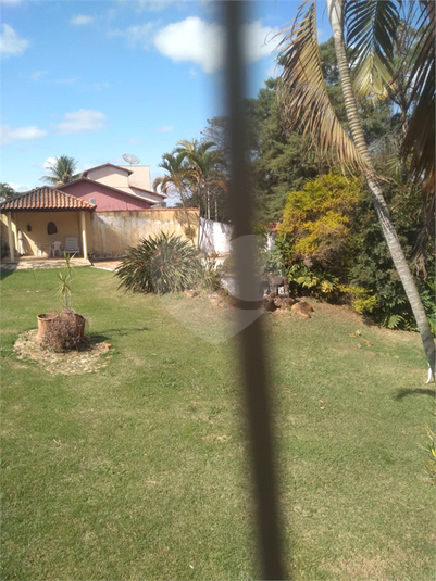 Foto REO1132604
