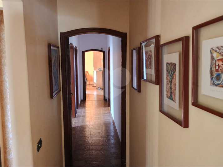 Foto REO1132604