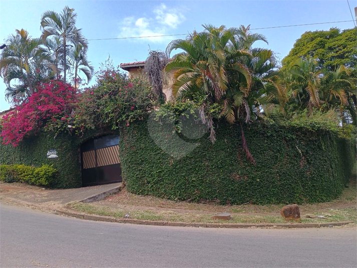 Foto REO1132604