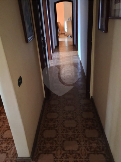 Foto REO1132604