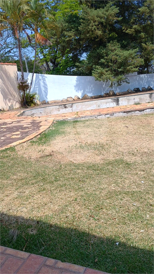 Foto REO1132604