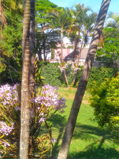 Foto REO1132604