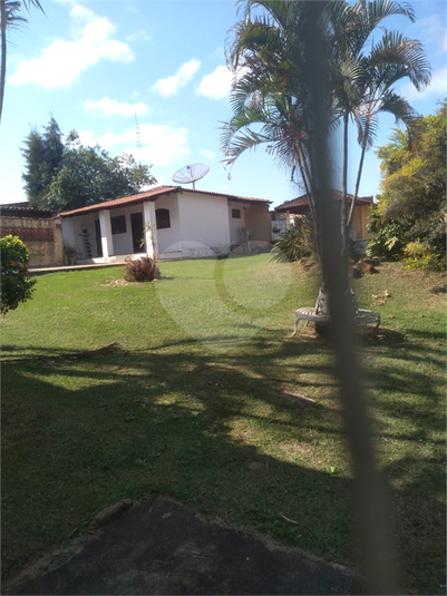 Foto REO1132604