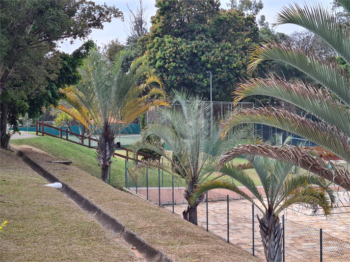 Foto REO1132606