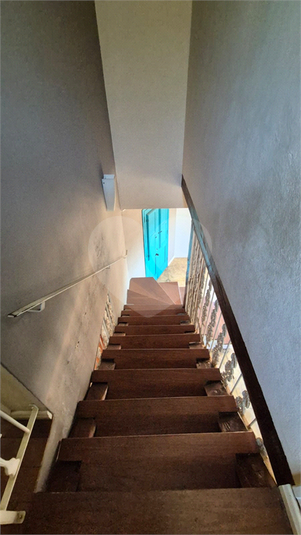 Foto REO1132606