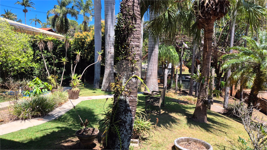 Foto REO1132606