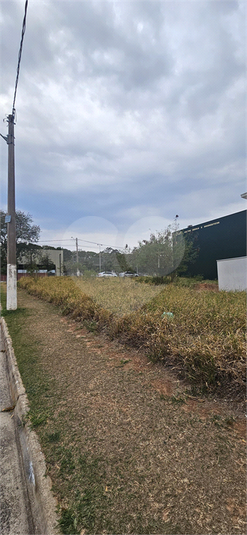 Foto REO1132618