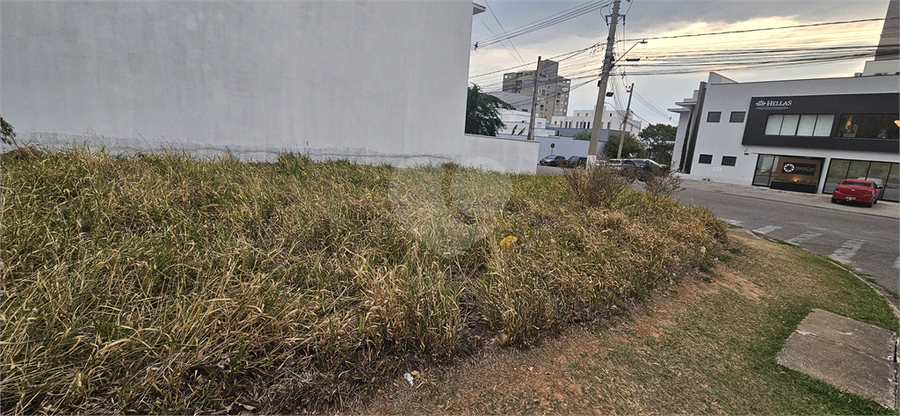Foto REO1132618