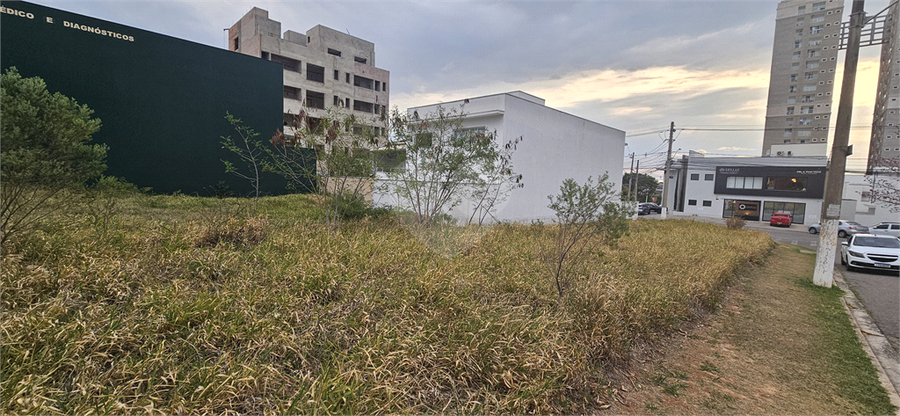Foto REO1132618